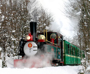 The 'Camila' locomotive